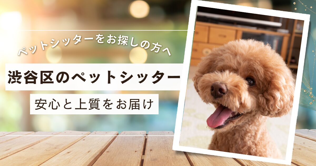 渋谷区　ペットシッター　三冠獲得